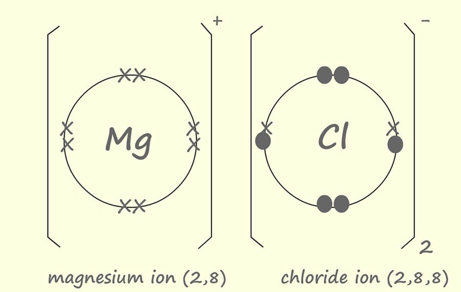 dot and cross diagram for magnesium chloride